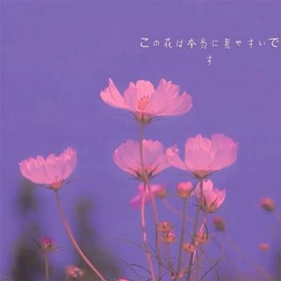 AG百家家乐app手机app下载