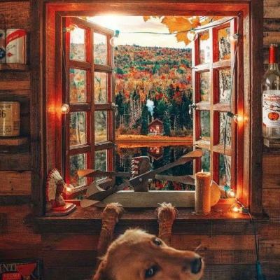 CQ9电子手机app下载