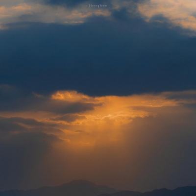 域网棋牌游戏app下载