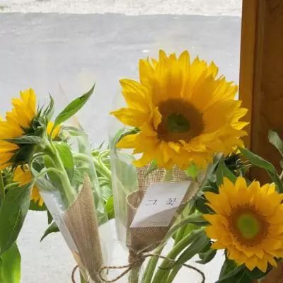 皇冠2登录平台首页