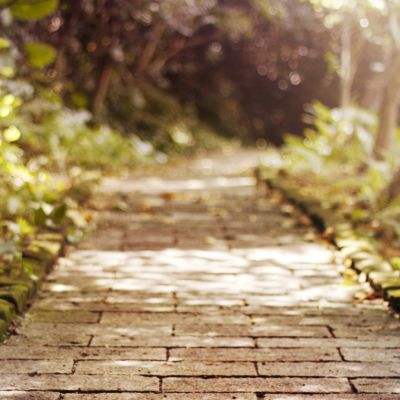 域网棋牌游戏app下载